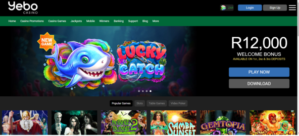 wish master slot online