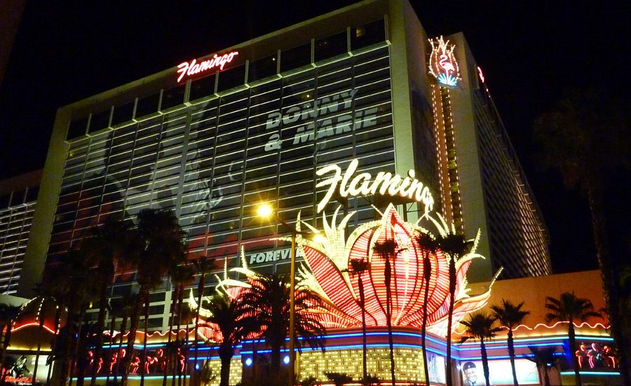 no deposit bonus slots of vegas