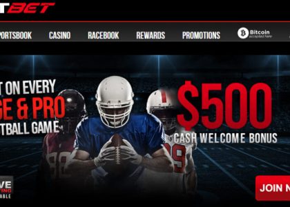 no deposit bonus winaday