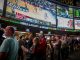 brezpla?na stava ladbrokes