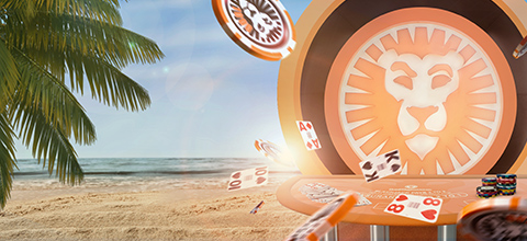 spil casino free
